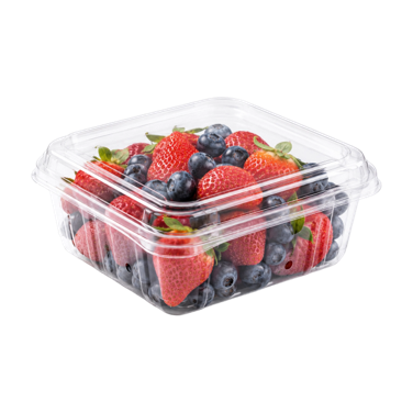Fresh Food Preservation Trays