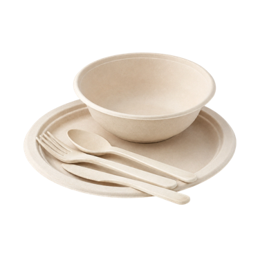 Disposable Eco-Friendly Products